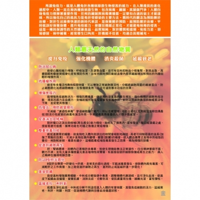 新版k6G.jpg